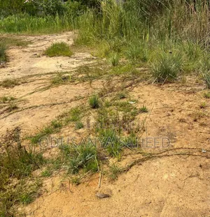 Lands for Sale