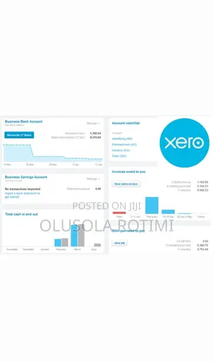 Xero Accounting Software Setup