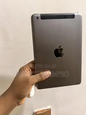 Apple iPad mini 2 16 GB Gray