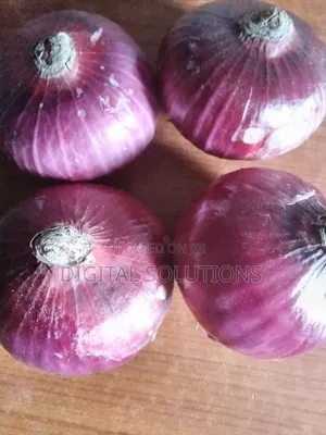 Big Jumbo Size Onions by 20 Pcs. Nationwide Delivery Available.