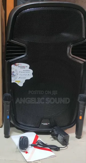 Modern Day Public Address System Model No 1545eq, 15 Inches