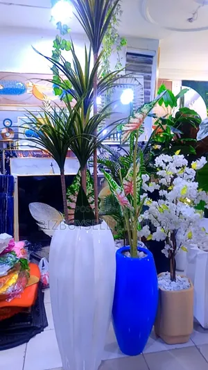 Indoor Flower And Vase