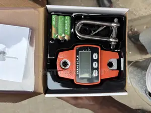 Mini Crane Scale 300 Kg