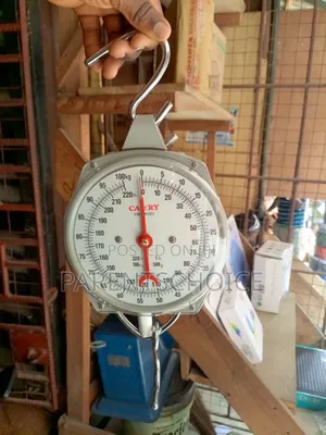 Industrial Mechanical Hanging Spring Dial Scale-100kg