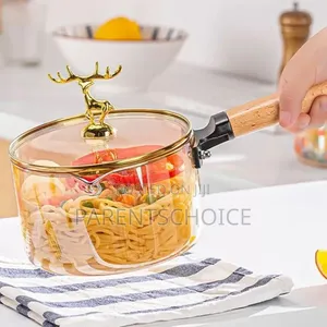 High Borosilicate Glass Pot