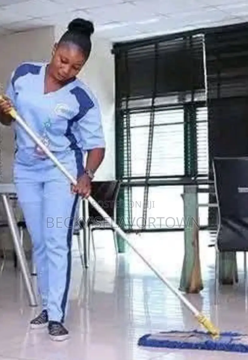 Premium Cleaning Services