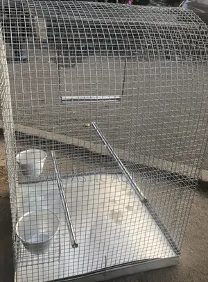 Cage for Birds