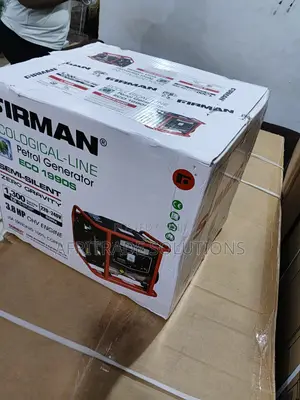 Firman Eco1990s Nigerian Market