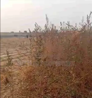 Agis-certified Land Along Scc Road For Filling Station Or Plaza