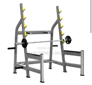 Commercial Olympic Weight Bench