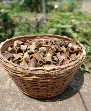 Dried White Pomo