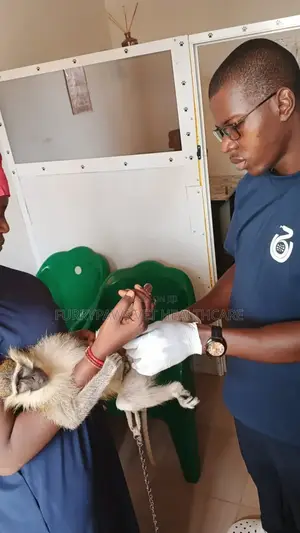 Furrypaws Veterinary Healthcare - Vet Clinic/Vet Doctor in Kabusa