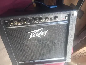 Peavey Rehearsal Combo