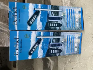 800w Solar Street Light Original With Motion Detector