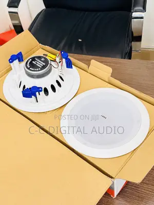 Dart 2in1 High Quality Ceiling Speaker