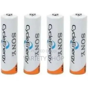 Sony Rechargeable 12v Battery