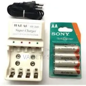 Sony Rechargeable Battery With Charger