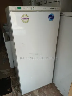 Liebherr Standing Freezer Block Machine