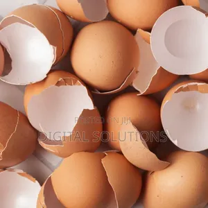 Egg Shells Per 4 Litres Paint Bucket. Good for Your Health.