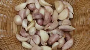 Well Dried Garlic. Organically Grown Garlic. Per 50 Pcs.