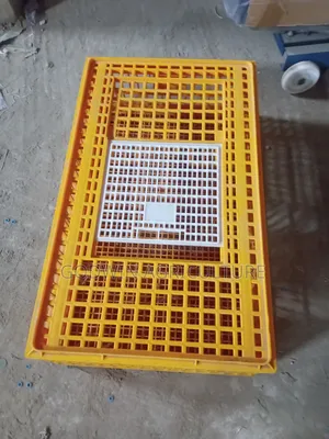 Transport Cage
