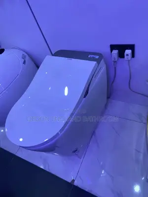 Executive Smart Water Closet
