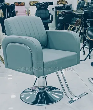 Classic Grey Salon Chair