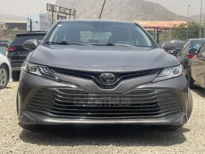 Toyota Camry LE (2.5L 4cyl 8A) 2019 Gray