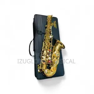 Yamaha Professional Alto Gold Saxophone