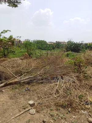 A Plot of Land