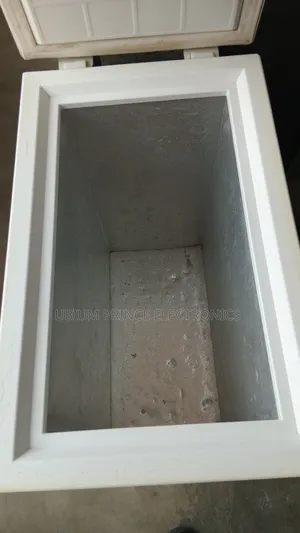 Mini Freezer