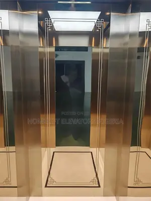 Luxury Lift With Home Diamond Electric Elevator