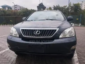 Lexus RX 350 4x4 2007 Gray