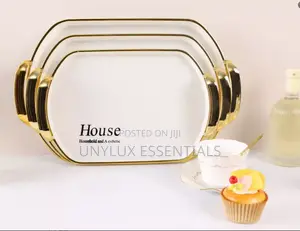 Multipurpose Acrylic Tray With Handles