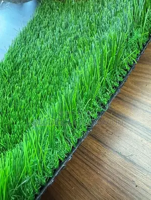 Buy Artificial Grass Carpet in Nigeria | Free Installation