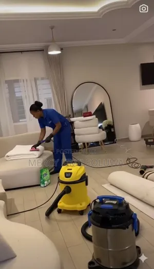 Hire a Professional Cleaning Agency