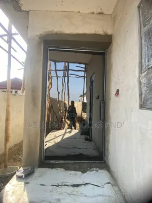 Mirror Face Water Resistant Material Pivot Door