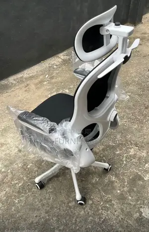 Ergonomic Mesh Chair