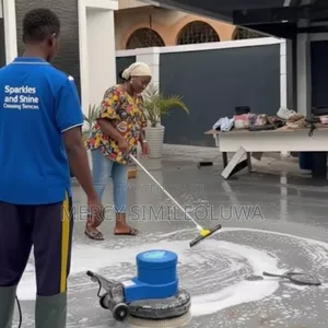 Professional Cleaning Services