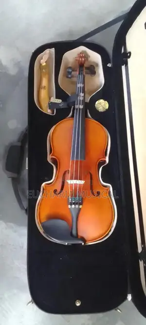 Neat Classical Violin – Perfect for Students