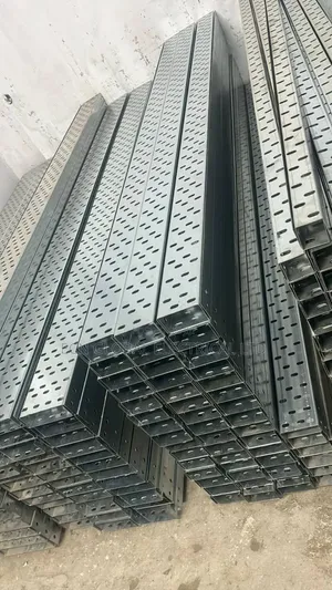 100×50 Galvanized Cable Tray