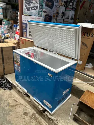 Nexus 300l Chest Freezer (Big Size)