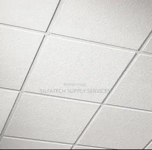 Suspended Ceiling Board