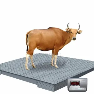 3000kg Digital Platform Weighing Scale