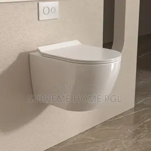 Space Saving Smart Toilet With Modern Design