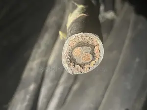 16mm 2core Armored Cable Coleman