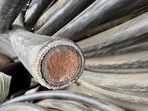 300mm Armored Cable
