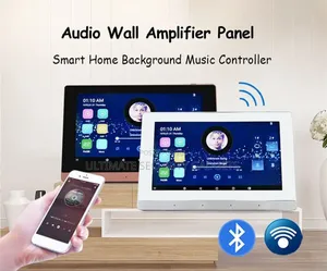7 Inches Wifi Bluetooth Wall Smart Amplifier(2 Zone)