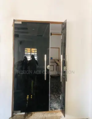 Double Panel Tinted Frameless Glass Door