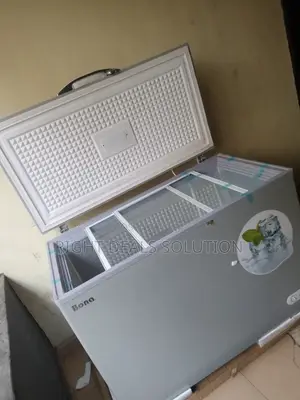 Bona 318 Litres Solar Chest Freezer: Redefine Food Preservation